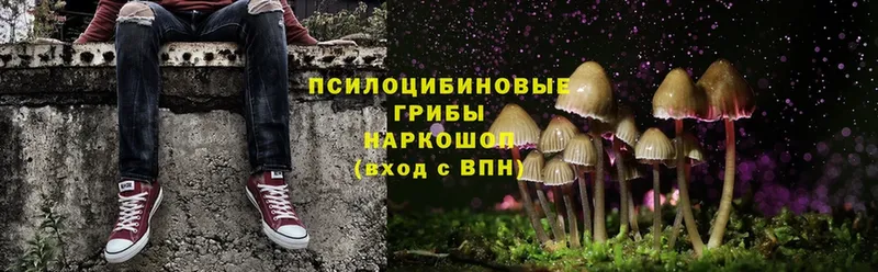 Галлюциногенные грибы MAGIC MUSHROOMS  дарнет шоп  Мыски 